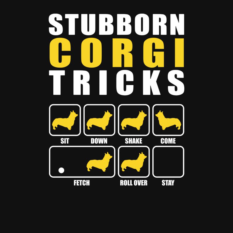Stubborn Corgi Tricks