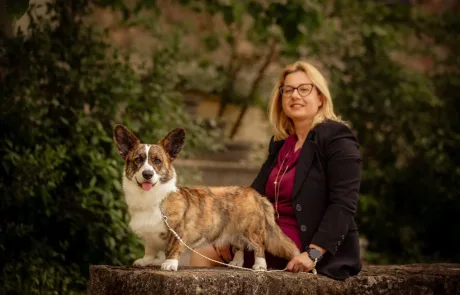 AUREATE – Cardigan Welsh Corgis – Corgi Portrait AUREATE - Cardigan Welsh Corgis - Corgi Portrait