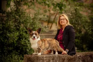 The Kennel Club of Greece ATHENS SPRING DOG SHOWS 2023 κοργκι στην Ελλάδα