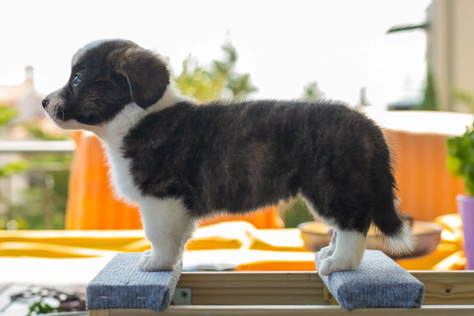 03 AUREATE EVERYTHINGS EVENTUAL 004 03 AUREATE EVERYTHINGS EVENTUAL 004