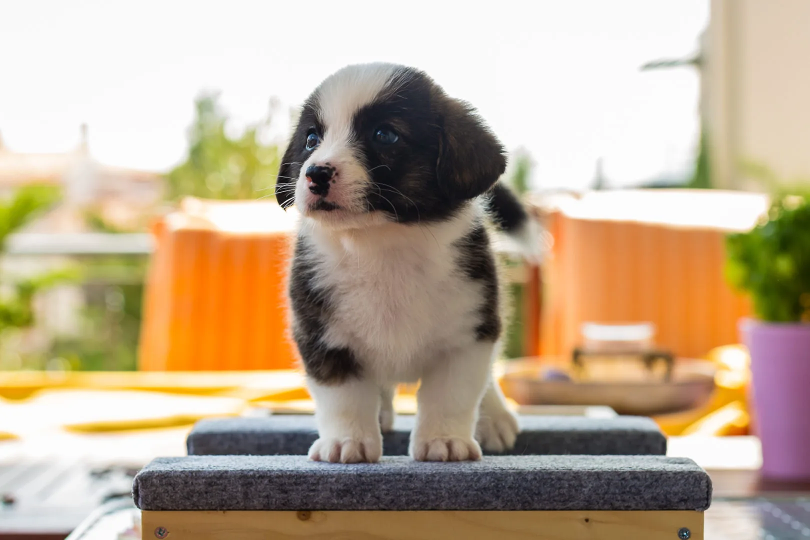 03 AUREATE EVERYTHINGS EVENTUAL 001 03 AUREATE EVERYTHINGS EVENTUAL 001